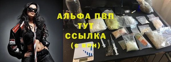 молекула духа Волоколамск