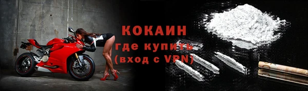 шишки Вязники