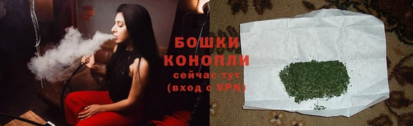 молекула духа Волоколамск