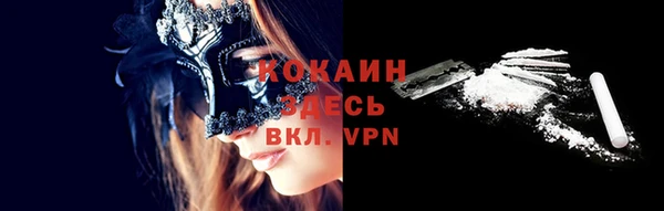 шишки Вязники