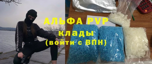 молекула духа Волоколамск