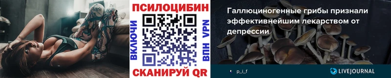 МЕГА вход  дарнет шоп  Калязин  Галлюциногенные грибы MAGIC MUSHROOMS 
